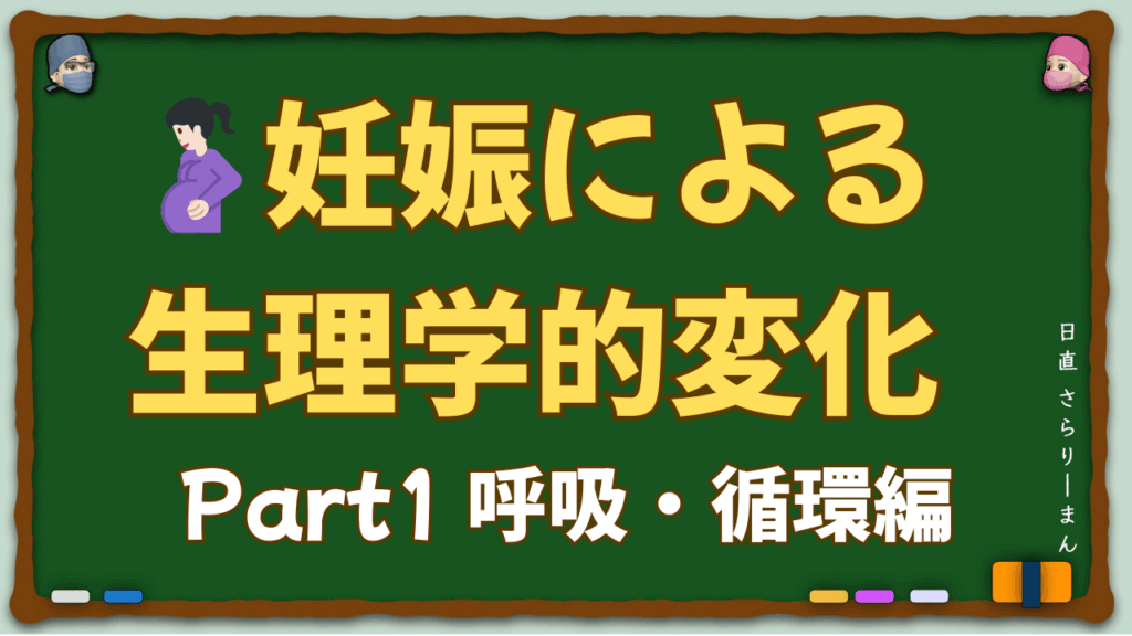 妊婦の循環器系と呼吸器系の生理的変化を示す医学教育用イラスト。心拍出量増加、機能的残気量減少、仰臥位低血圧症候群などの概念を表現した産科麻酔の解説